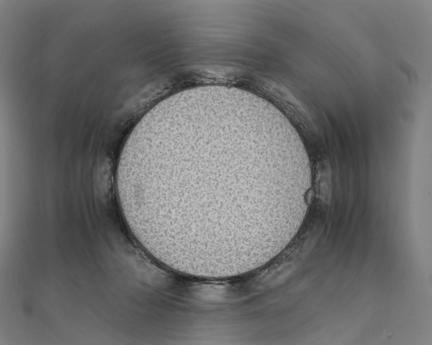 X0000111430318200908101121