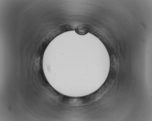 X0000111430319200908101121