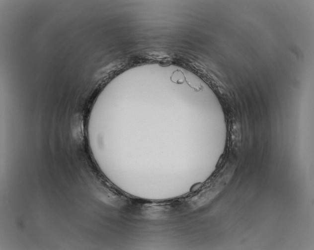 X0000111430320200908101121