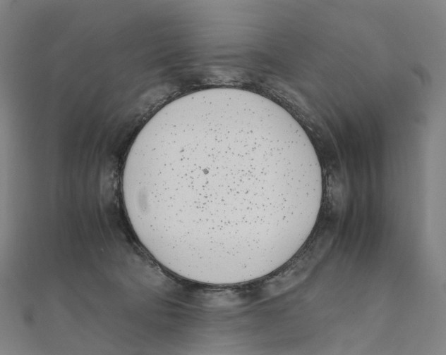 X0000111430322200908101121