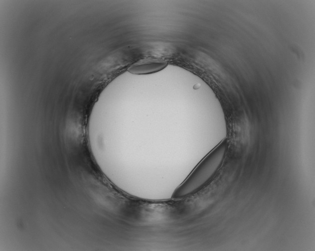 X0000111430324200908101121