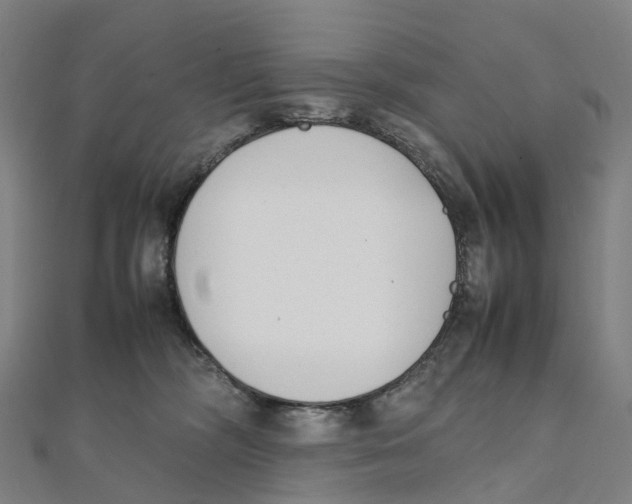 X0000111430326200908101121