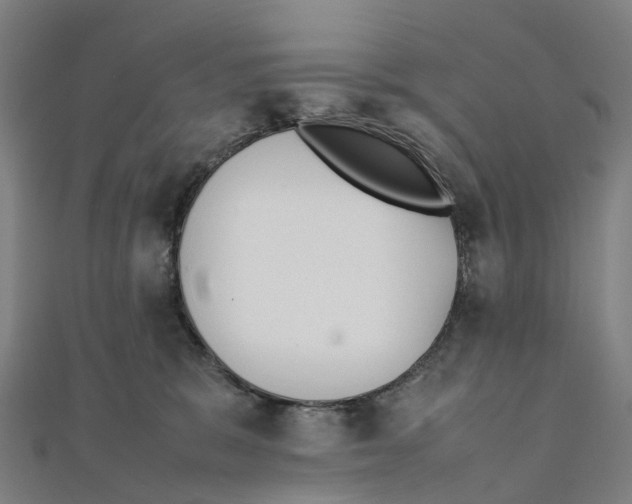 X0000111430327200908101121