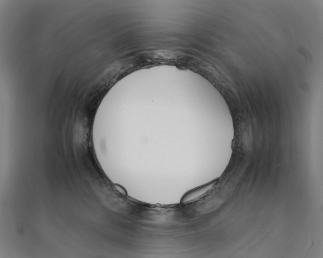 X0000111430328200908101121