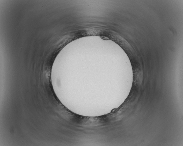 X0000111430329200908101121