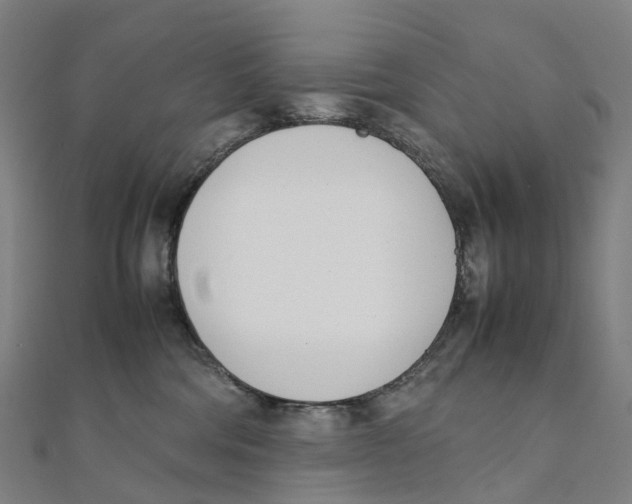 X0000111430330200908101121