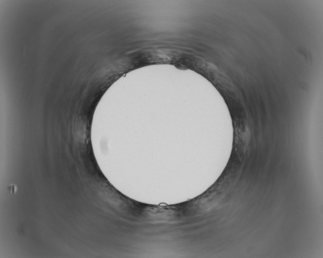 X0000111430331200908101121