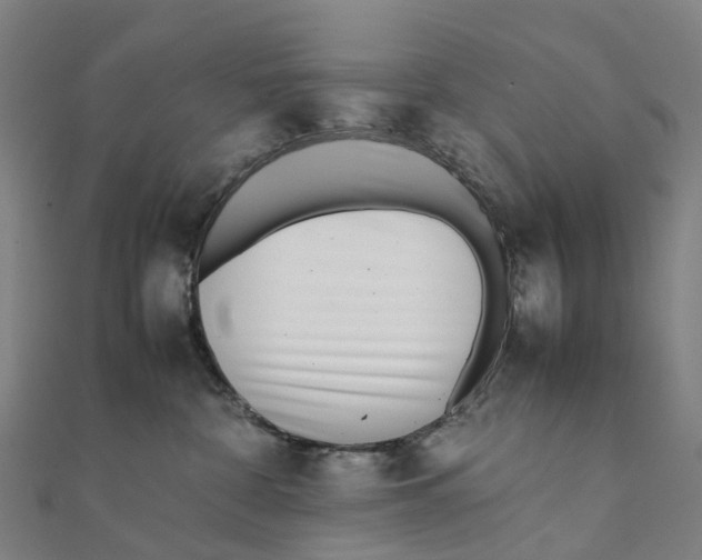 X0000111430332200908101121