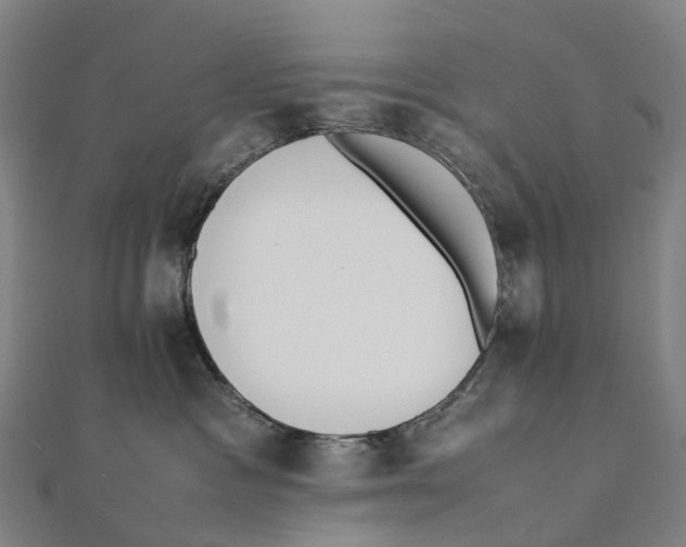 X0000111430333200908101121
