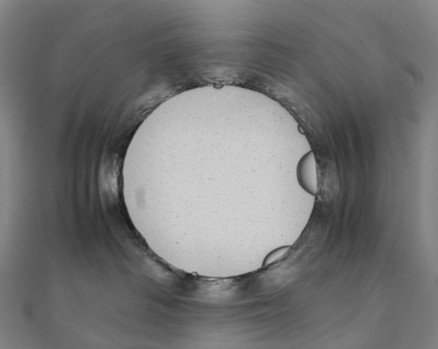 X0000111430334200908101121