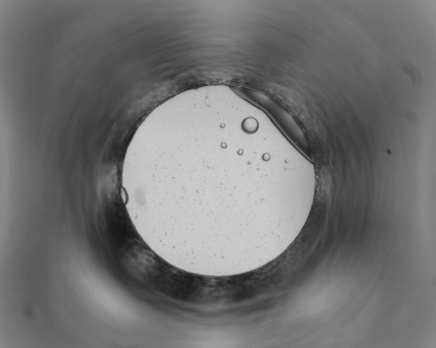 X0000111430335200908101121