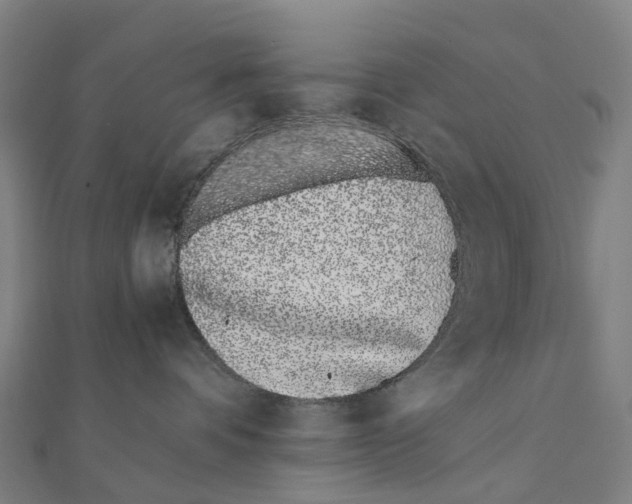 X0000111430336200908101121