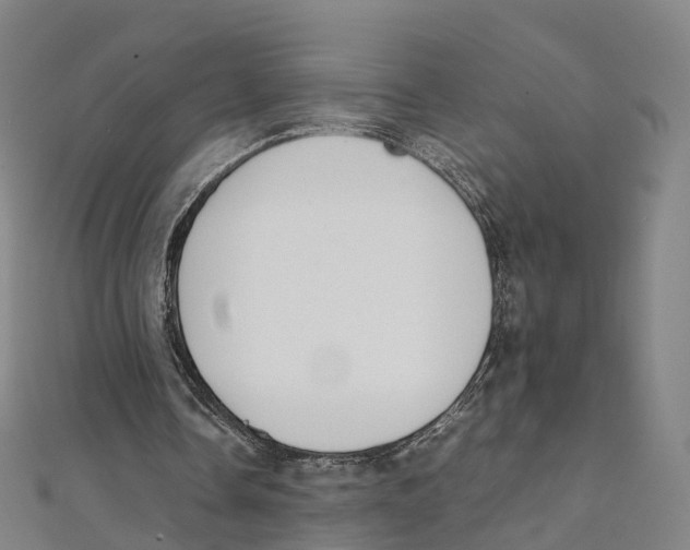X0000111430338200908101120