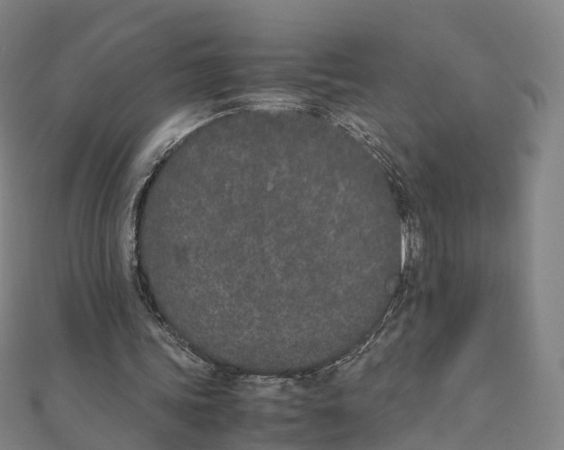 X0000111430339200908101120