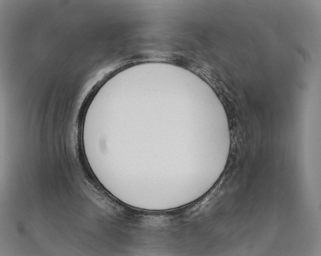 X0000111430342200908101120