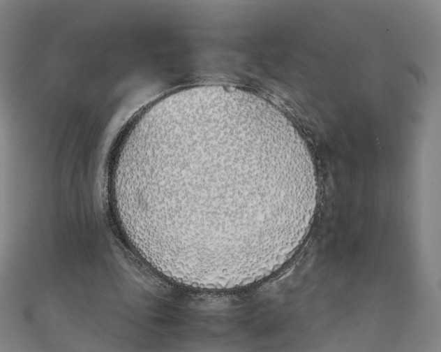 X0000111430343200908101120