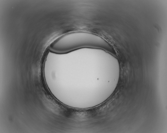 X0000111430344200908101120