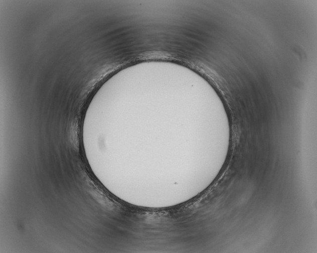 X0000111430345200908101120