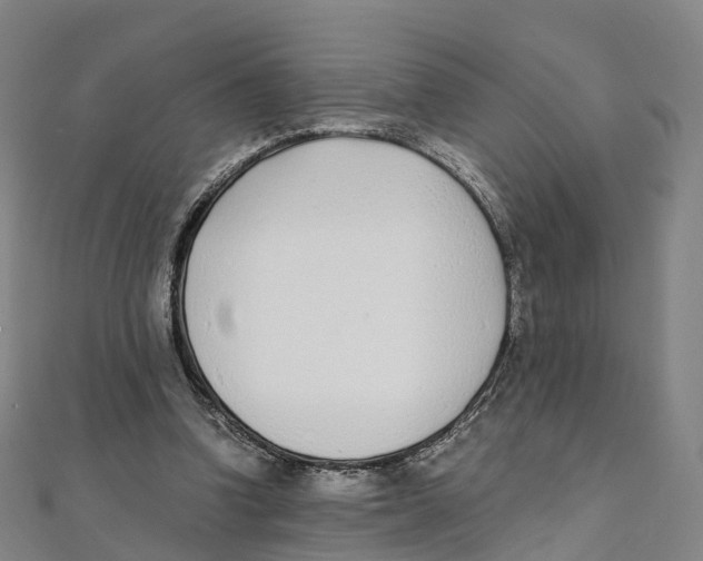 X0000111430346200908101120