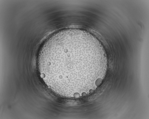 X0000111430347200908101120