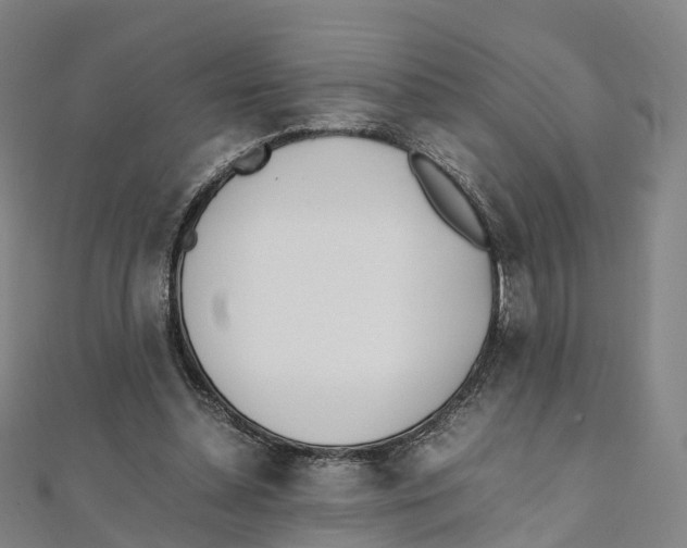 X0000111430348200908101120