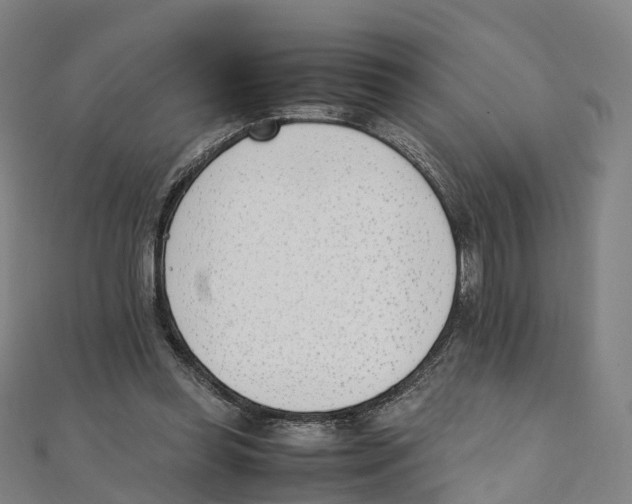 X0000111430349200908101120