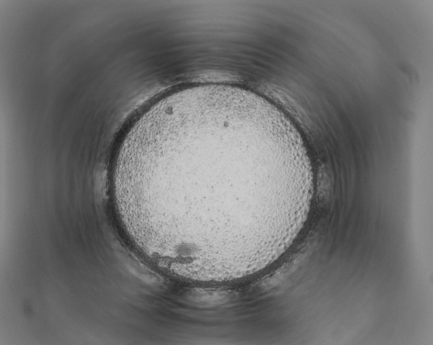 X0000111430351200908101120