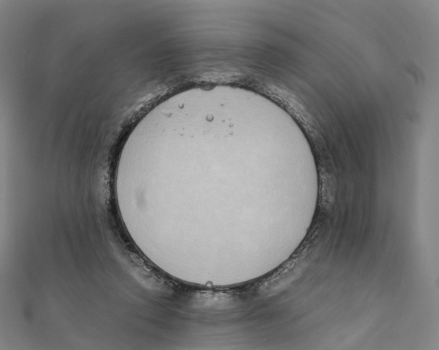 X0000111430354200908101120