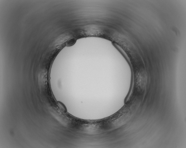 X0000111430356200908101120