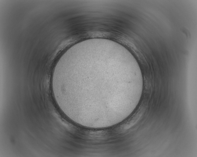 X0000111430357200908101120