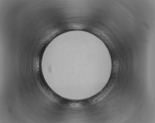 X0000111430358200908101121