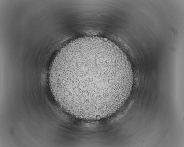 X0000111430359200908101121