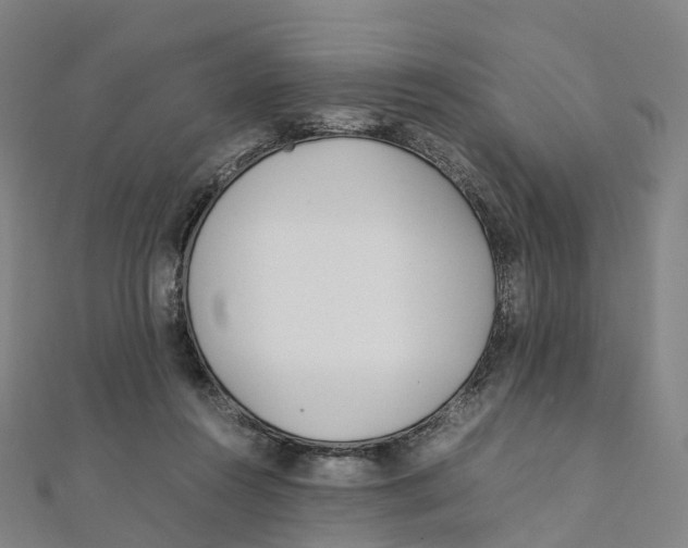 X0000111430360200908101121