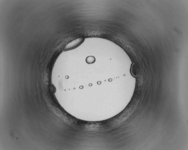 X0000111430362200908101121