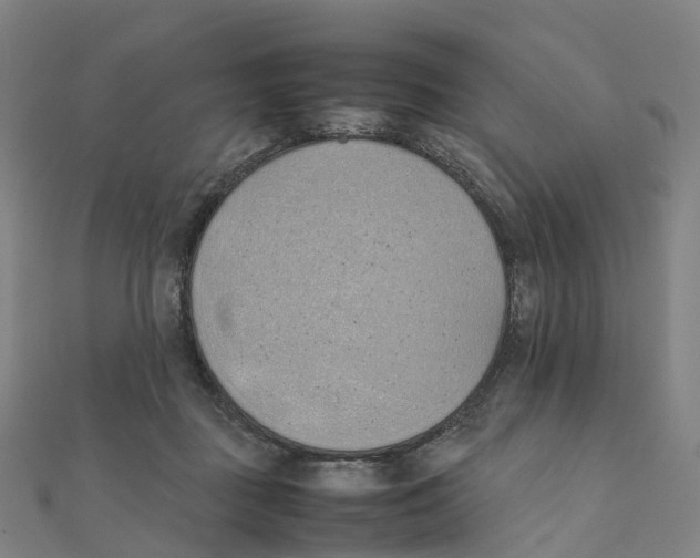 X0000111430363200908101121