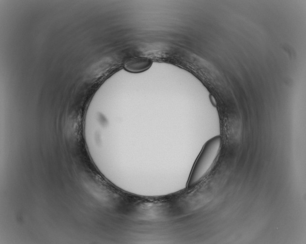 X0000111430364200908101121