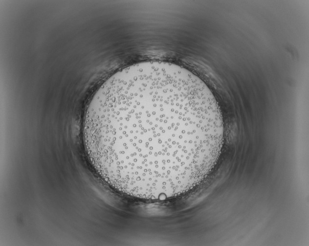X0000111430365200908101121