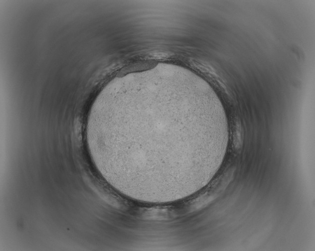 X0000111430366200908101121