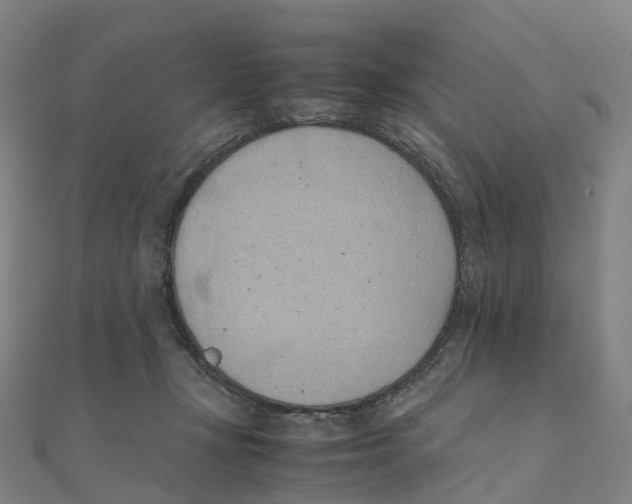 X0000111430367200908101121