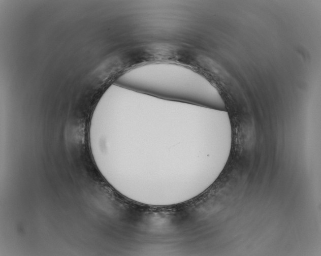 X0000111430368200908101121