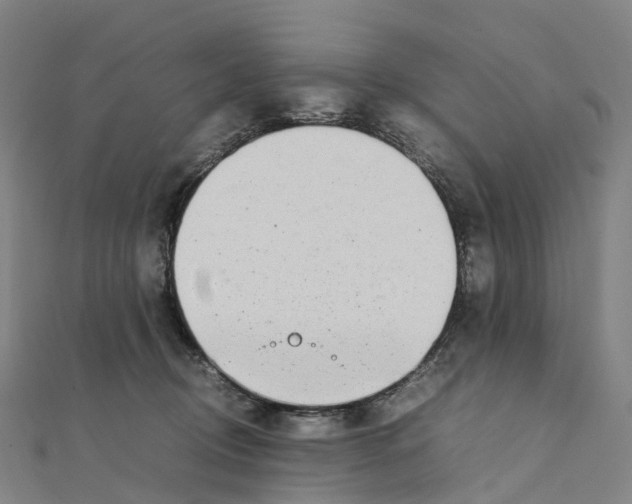 X0000111430370200908101121