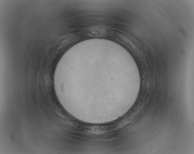 X0000111430371200908101121