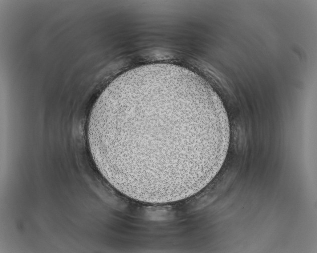 X0000111430373200908101121