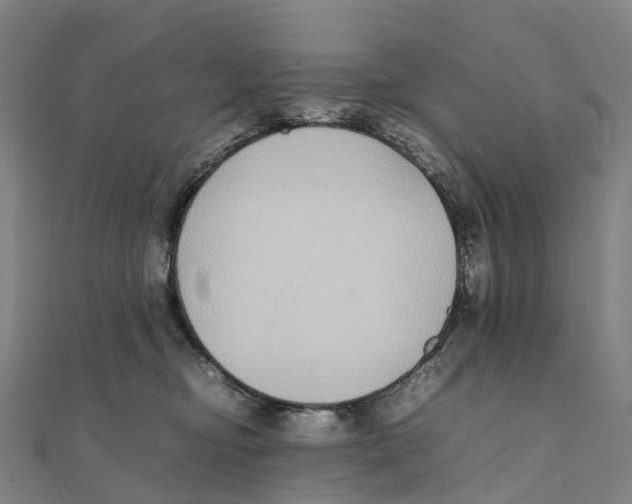 X0000111430374200908101121
