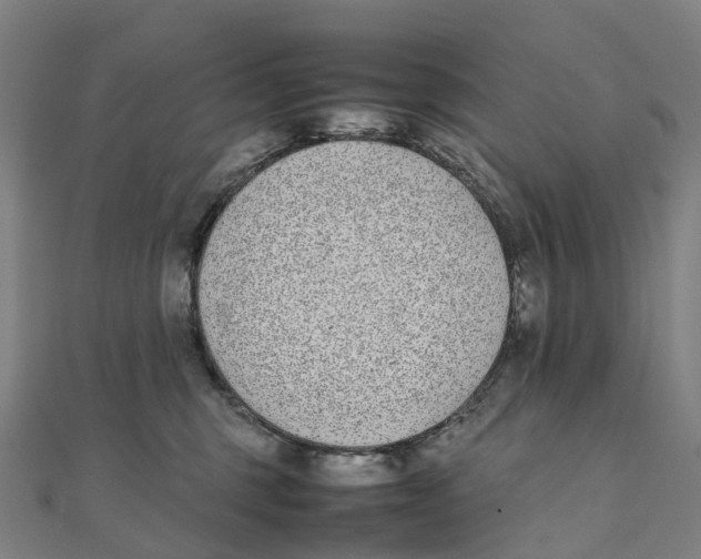 X0000111430375200908101121