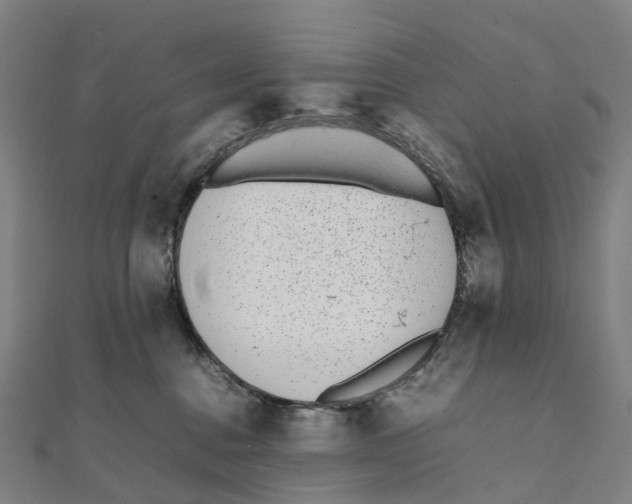 X0000111430376200908101121