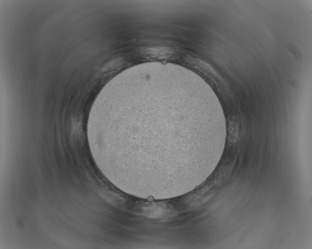 X0000111430377200908101121
