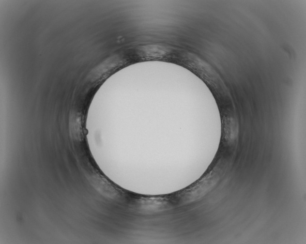 X0000111430378200908101121