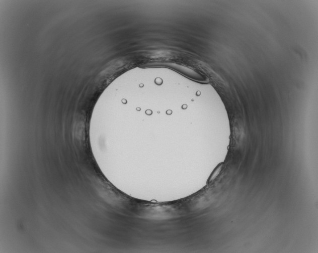 X0000111430379200908101121