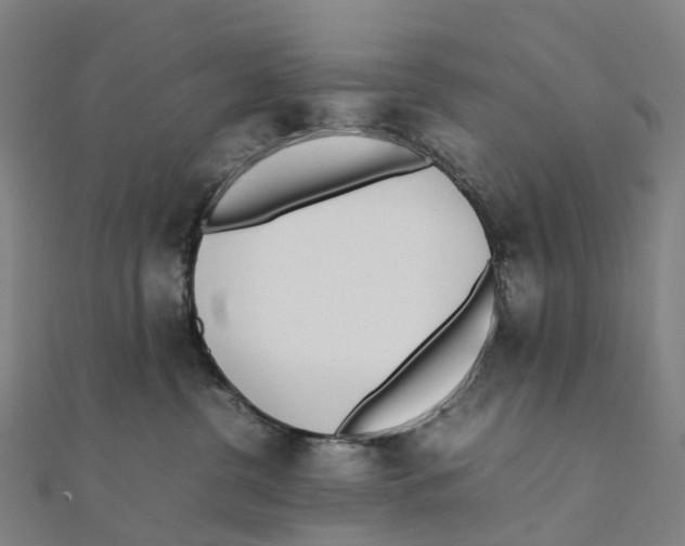 X0000111430380200908101121